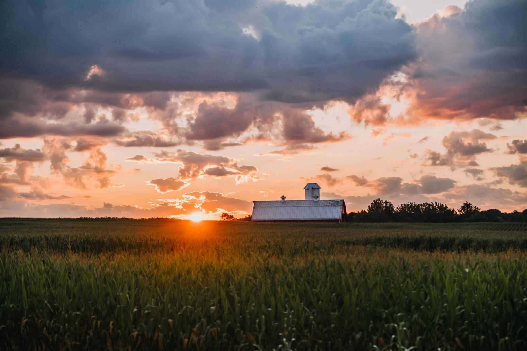 Farm & Business Loans